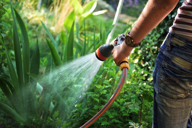 ahorrar agua en el jardin fontaneros madrid
